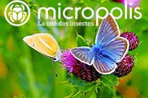 Logo Micropolis