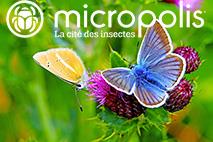 Micropolis logo